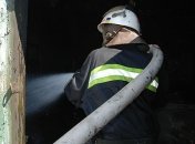 Пожар под Воронежем: число жертв возросло до 23