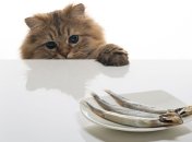 Рыба - первый помощник в борьбе с депрессией