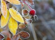 Прогноз погоды на 8 октября: похолодание усилится, ночью заморозки