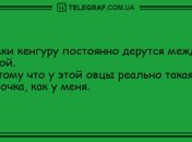 Свежие утренние анекдоты для отличного начала дня
