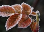 8 декабря - Климентьев день, Клим Холодный