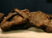 Ученым удалось восстановить ДНК древних мумий