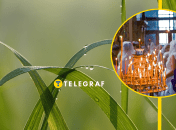 Апрель принес нам переменчивую погоду