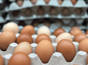 Куриные яйца