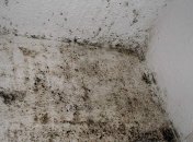 Эти лайфхаки вам помогут