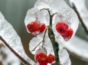 Знаменательные события в истории: 14 января 2017 года