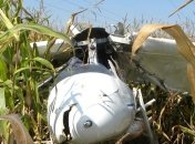 На Черниговщине упал самолет