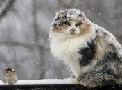 На улице будет не очень уютно