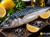 Скумбрия вместо красной рыбы: цены и польза – сколько стоит порция и что она дает организму