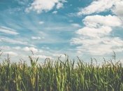 25 серпня - свято, що категорично заборонено робити, головні прикмети