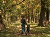 Ребенок гуляет с собакой