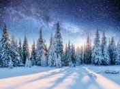 Зима под Киевом