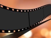 Завершились съемки документального фильма о животных "Бешенство"