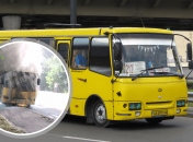 У мережі кажуть, що горіла 212 маршутка