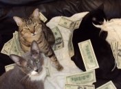 Яким знакам Зодіаку пощастить із грошима восени 2022 року