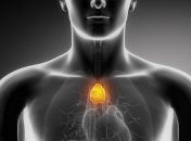 Вилочковая железа - точка счастья вашего тела