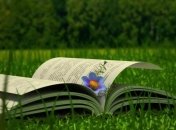 Знаменательные события в истории: 13 июня 2017 года