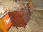 На Житомирщине, защищая мать, ребенок убил отчима