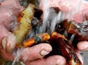 Луценко настаивает на легализации добычи янтаря