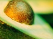 Применение авокадо в домашней косметичке 