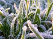 В Украине ожидаются заморозки