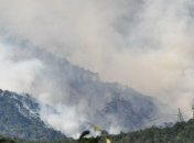 Площадь пожара в Ялтинском заповеднике расширилась с 2 до 10 га