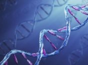 В ДНК человека найден второй спрятанный ретровирус