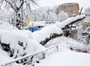 В Киеве навес Демеевского рынка травмировал человека