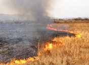 Кульбіда: найближчими днями дощів на Житомирщині та Київщині не буде