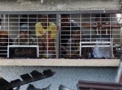 В Индонезии арестованы более 60 заключенных, совершивших побег