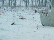 Опубликованы списки пассажиров самолета, разбившегося под Москвой 