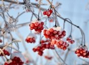 17 декабря - приметы и обряды в День великомученицы Варвары