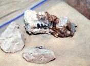 Уникальная археологическая находка: остатки пищи древних людей 