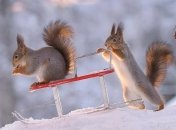 Ударят сильные морозы: какой будет погода в Украине в начале новой недели