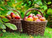 Погода на неделю в Украине: чем порадует начало августа