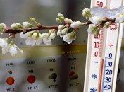 Прогноз погоды