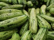 Чем подкармливать кабачки