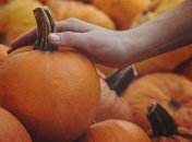 Идеальный плод для женского здоровья: чем полезна тыква