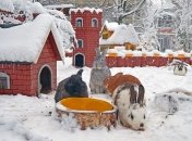 Город кроликов, в котором мечтает побывать каждый (Фото) 