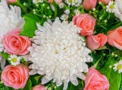 Букет цветов не всегда идеальный подарок