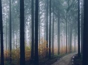 Не грустите, потепление еще будет: прогноз погоды 5 октября