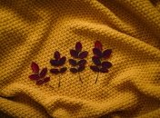 Трендовые цвета осени 2022