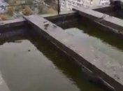 Затапливает квартиры: на крыше одной из многоэтажек в Киеве после дождей образовались "бассейны"