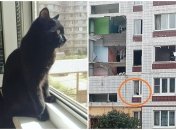 После взрыва в многоэтажке Ногинска оставили животных