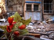 После оккупантов остаются руины