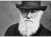 Ученые опровергли экологическую гипотезу Дарвина