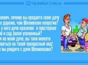 Заряд позитива обеспечен: утренние анекдоты на 15 апреля