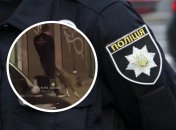 Бійцівський пес був без намордника та повідка