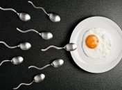 10 симптомов овуляции: как определить овуляцию по ощущениям