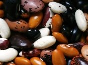 Вчені назвали продукт, який зможе подолати ожиріння